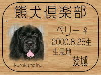 �I�[�i�[�́A�����q����ł���